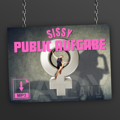 Sissy Public Aufgabe