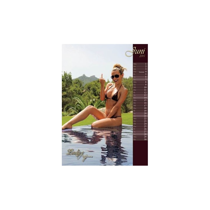 Wand-Kalender 2015! als PDF-Download